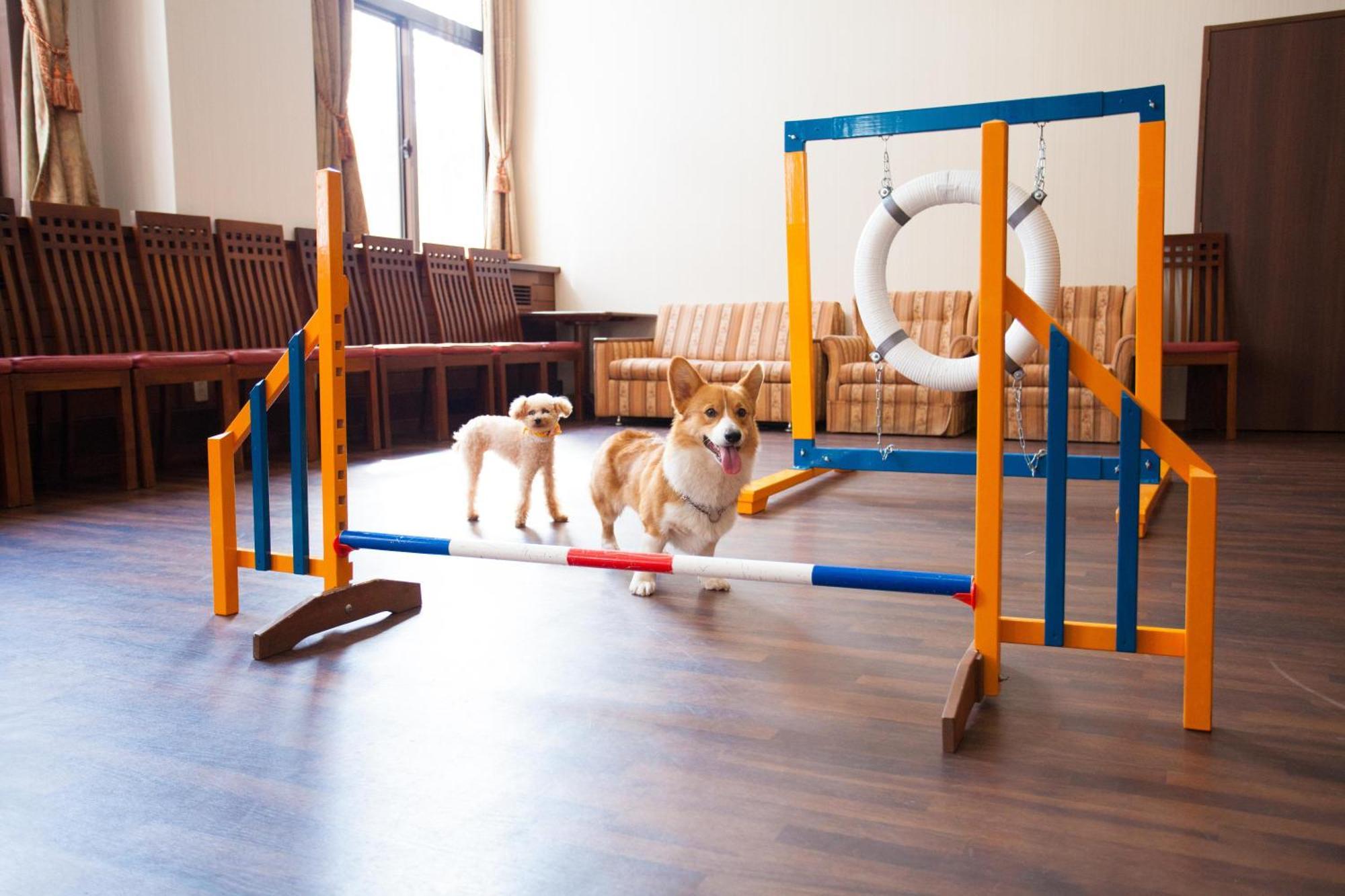 Izumigo Takayama Dog Paradise Hotel Eksteriør bilde