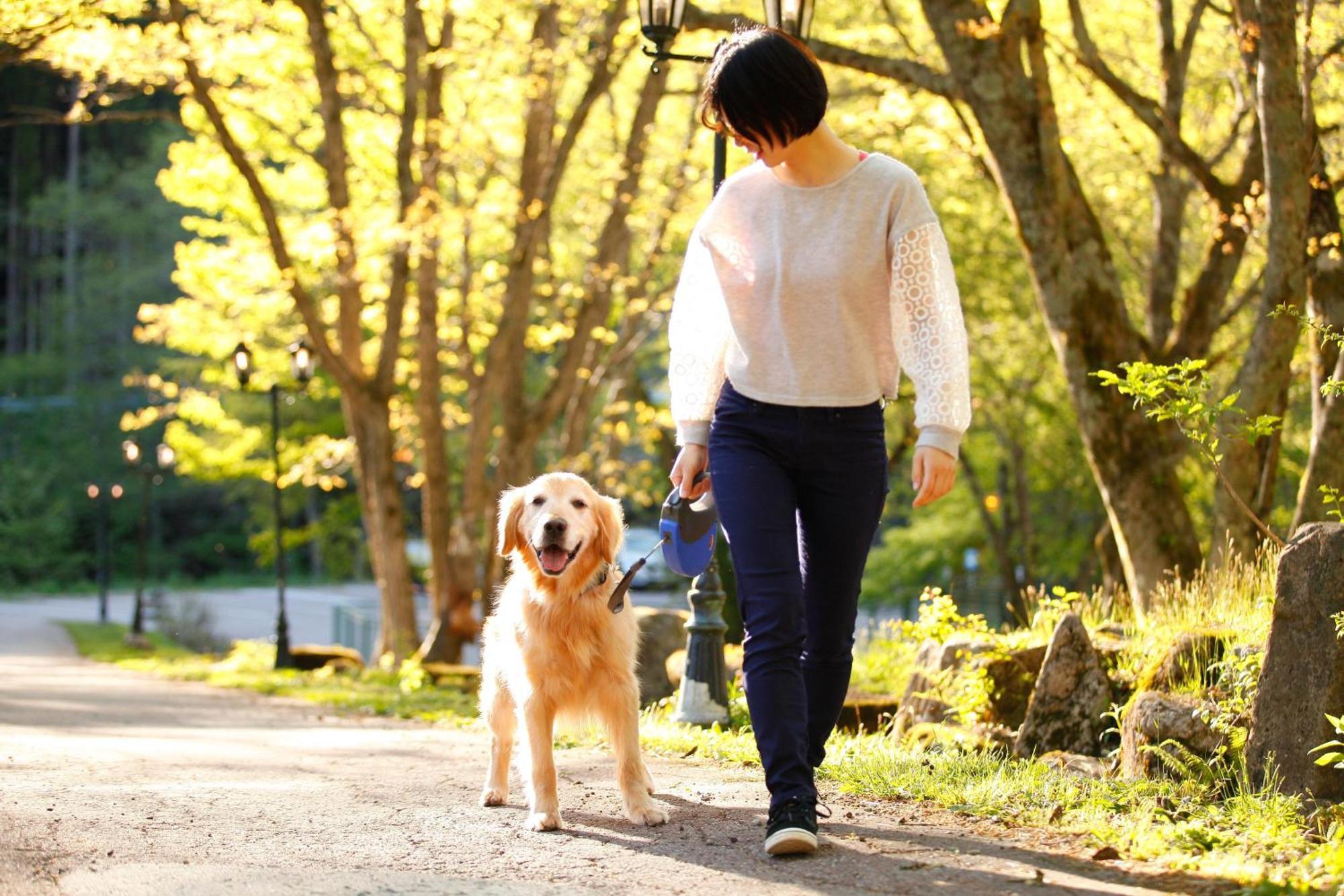 Izumigo Takayama Dog Paradise Hotel Eksteriør bilde